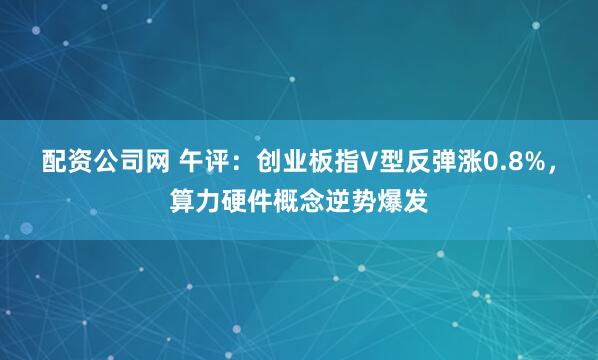 配资公司网 午评：创业板指V型反弹涨0.8%，算力硬件概念逆势爆发