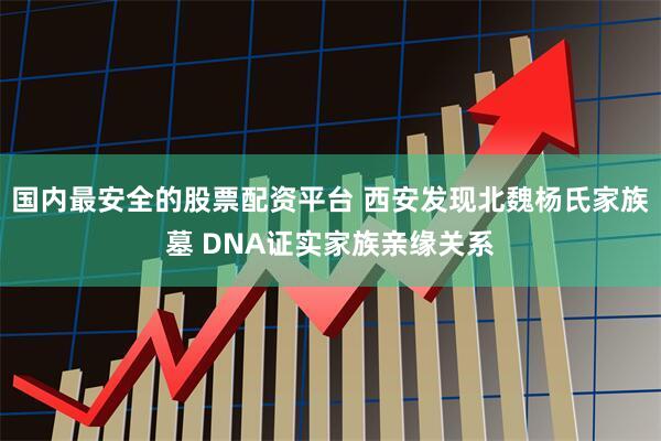 国内最安全的股票配资平台 西安发现北魏杨氏家族墓 DNA证实家族亲缘关系